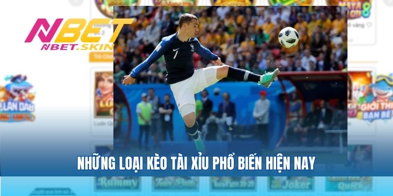Những loại kèo tài xỉu phổ biến hiện nay